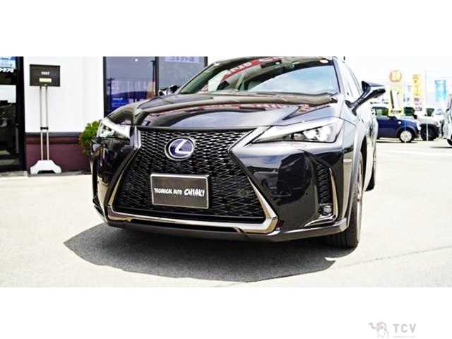 2021 Lexus Other