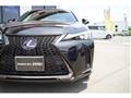 2021 Lexus Other