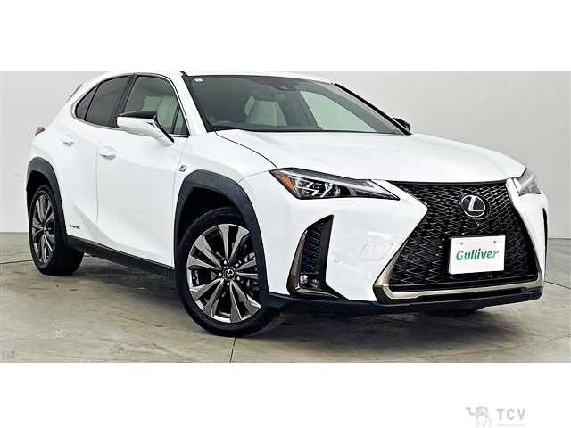 2021 Lexus Other