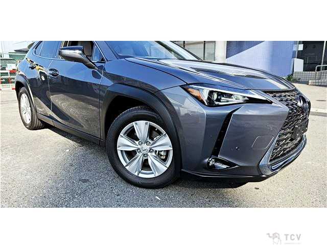 2020 Lexus Other