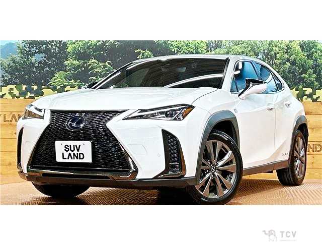 2020 Lexus Other