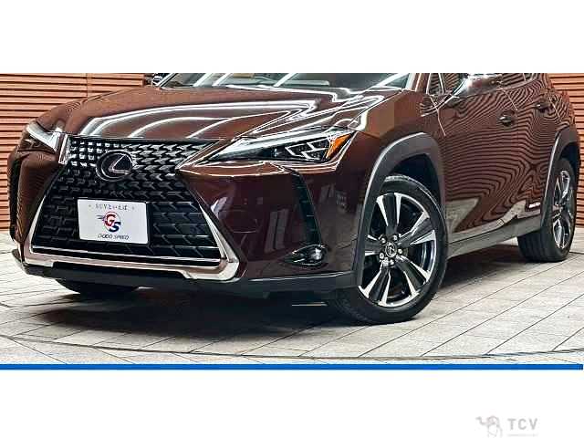 2020 Lexus Other