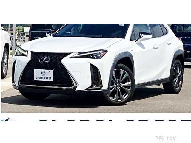 2020 Lexus Other