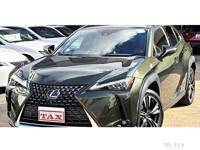 2020 Lexus Other