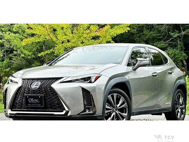 2020 Lexus Other