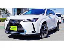2020 Lexus Other