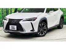2020 Lexus Other