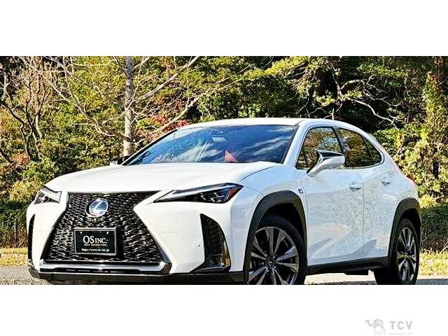 2020 Lexus Other