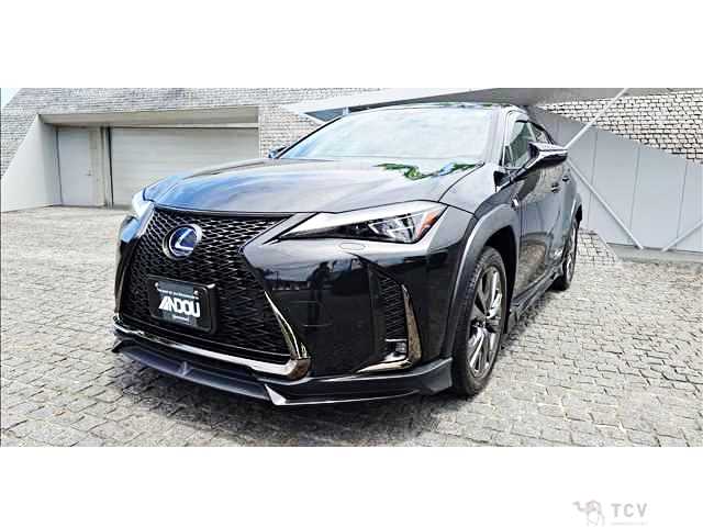 2020 Lexus Other