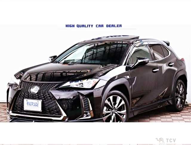 2020 Lexus Other