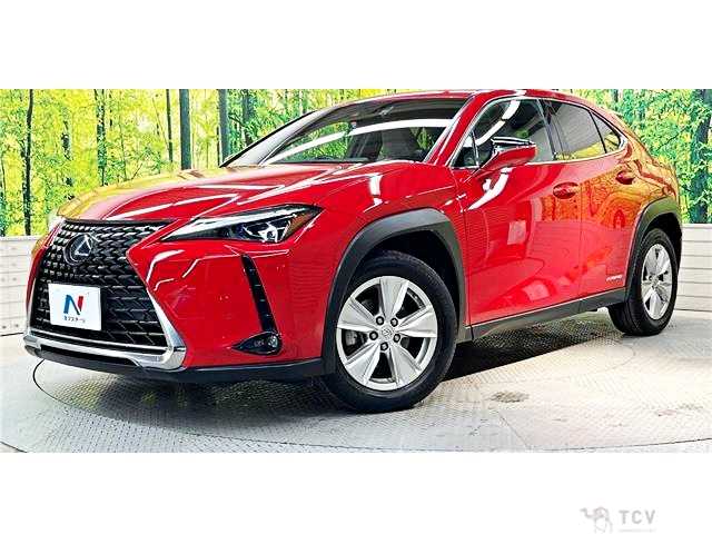 2019 Lexus Other