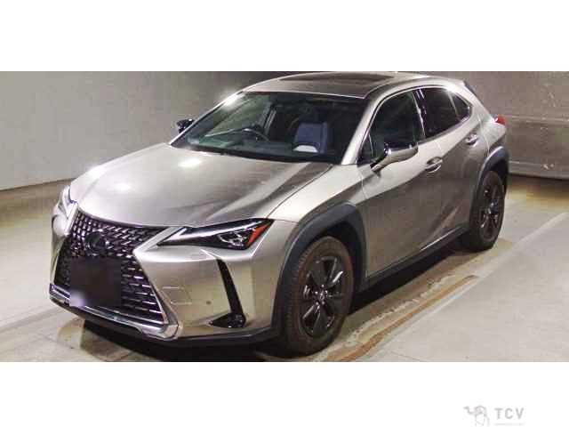 2019 Lexus Other