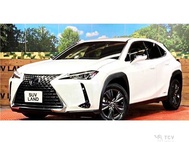 2019 Lexus Other