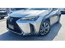 2019 Lexus Other