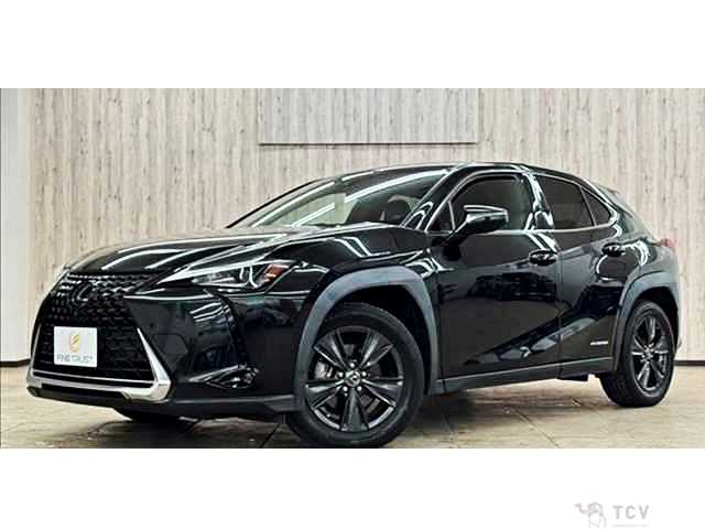 2019 Lexus Other