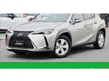 2019 Lexus Other