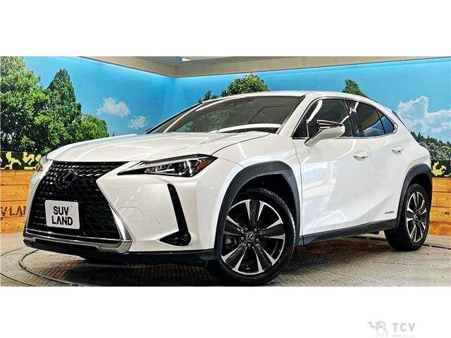 2019 Lexus Other