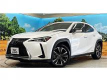 2019 Lexus Other
