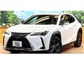 2019 Lexus Other