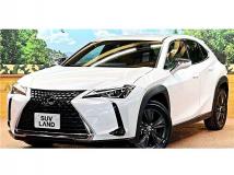 2019 Lexus Other