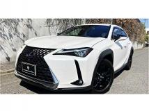 2019 Lexus Other