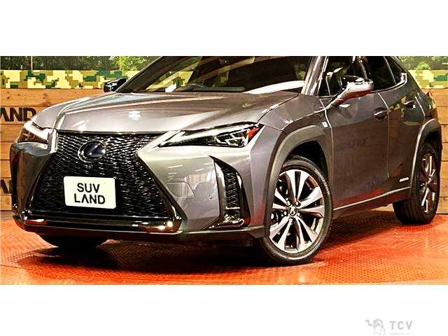 2019 Lexus Other