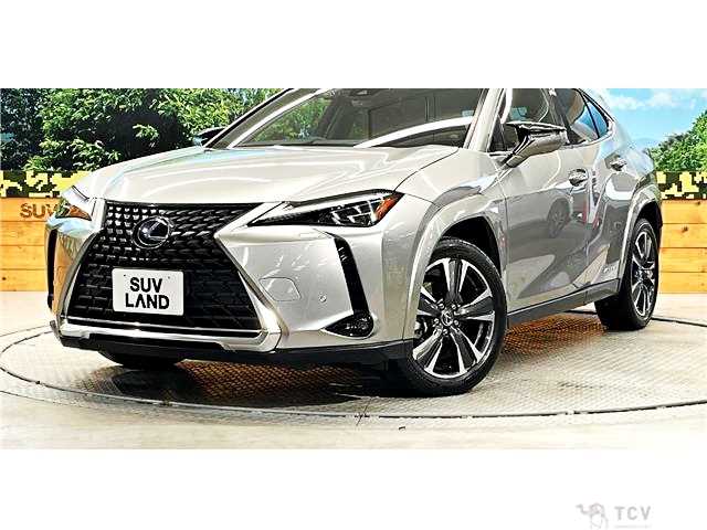 2019 Lexus Other
