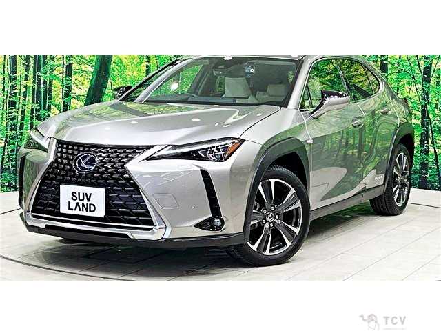 2019 Lexus Other