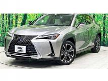 2019 Lexus Other