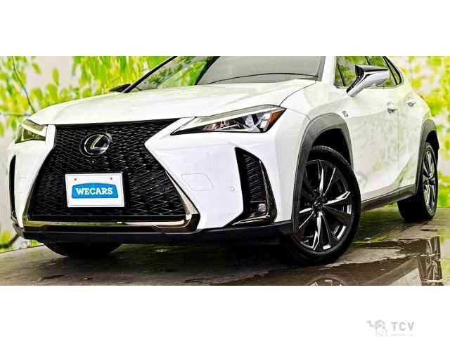 2019 Lexus Other