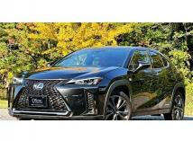 2019 Lexus Other