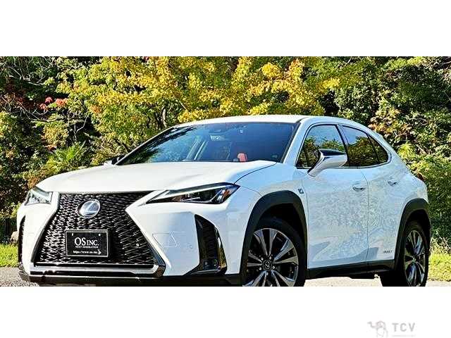 2019 Lexus Other