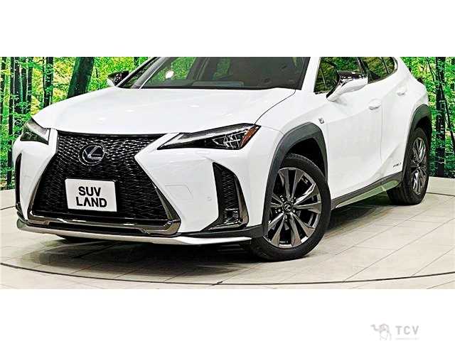 2019 Lexus Other