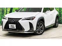 2019 Lexus Other