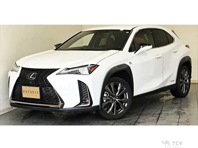 2019 Lexus Other