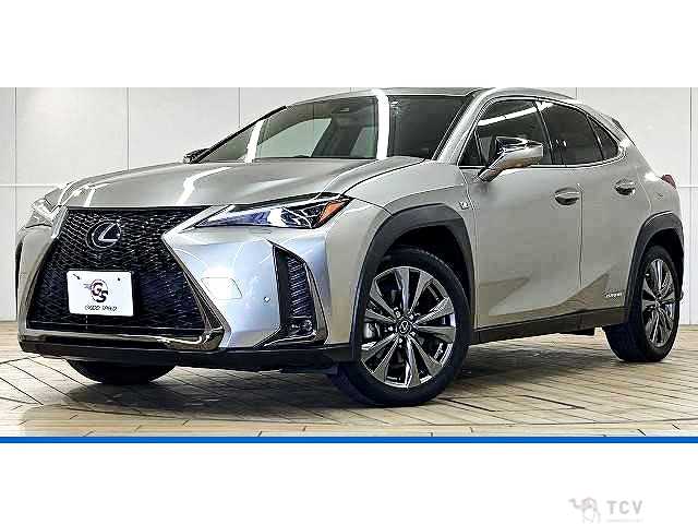 2019 Lexus Other