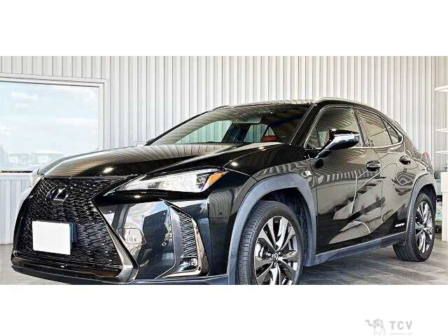 2019 Lexus Other