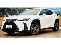 2019 Lexus Other