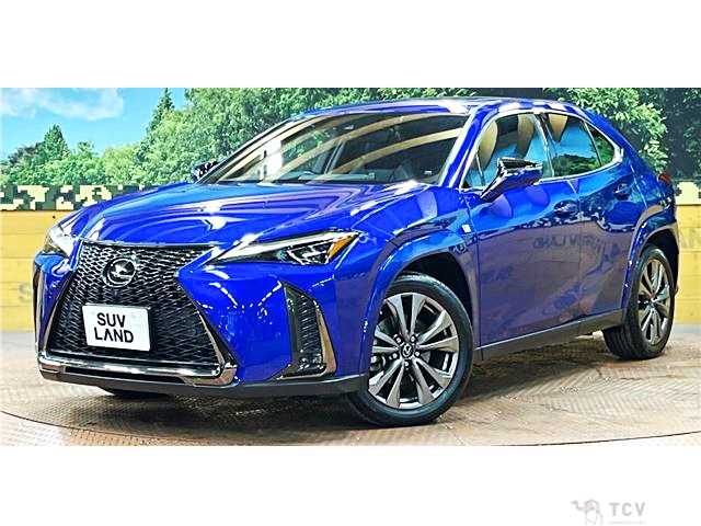 2018 Lexus Other