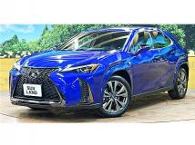 2018 Lexus Other