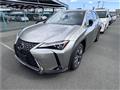 2018 Lexus Other