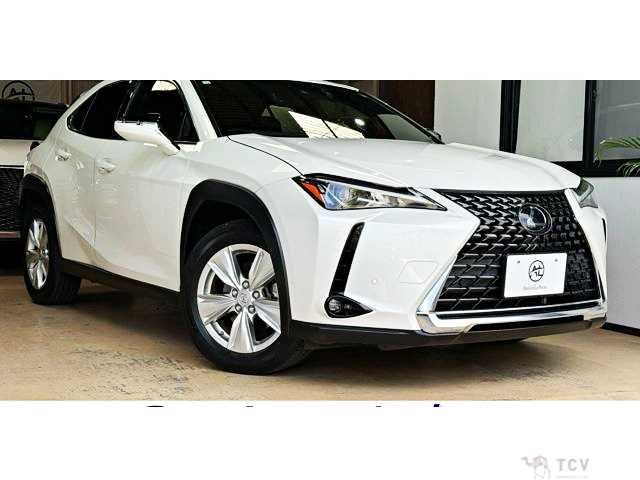 2018 Lexus Other