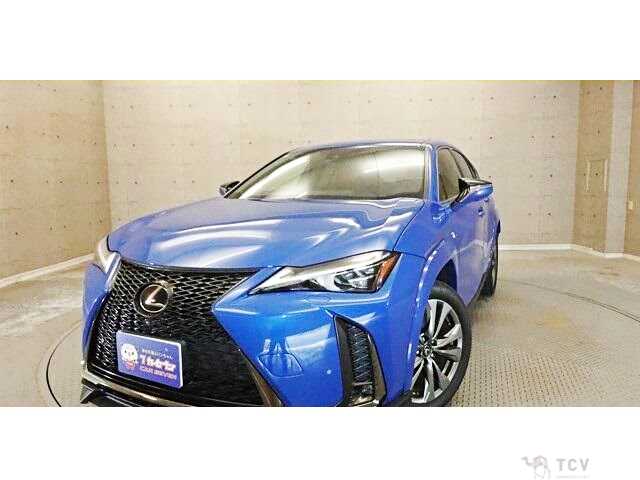 2018 Lexus Other