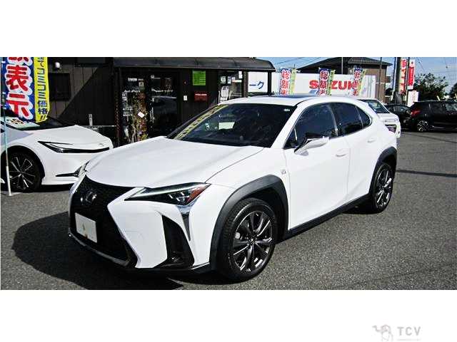 2018 Lexus Other