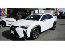 2018 Lexus Other