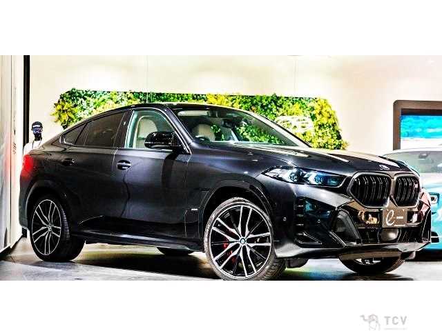 2024 BMW X6