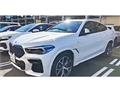 2023 BMW X6