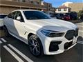 2023 BMW X6