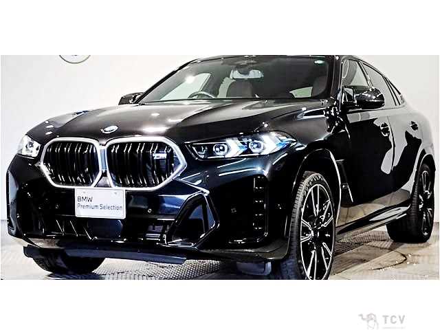 2023 BMW X6