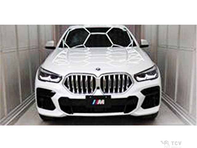 2022 BMW X6